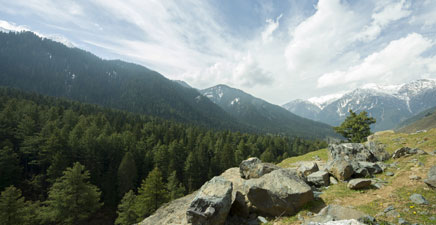 Royal Tour Kashmir | India Tour Packages  