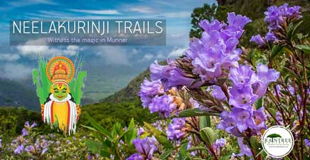 3d/2n Compact Kerala Tour Package @ 5499