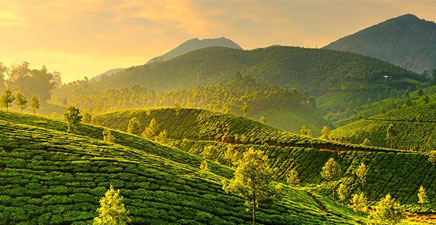 8d/7n Munnar To Kanyakumari 